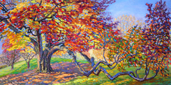 Fall Beech; 24x48